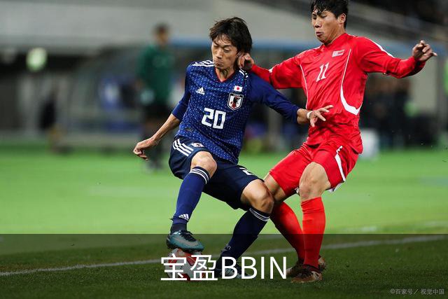宝盈BBIN 公司简介